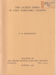 THE CICHLID FISHES OF LAKE NABUGABO, UGANDA