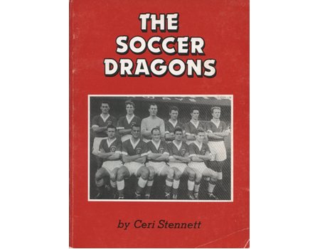 THE SOCCER DRAGONS